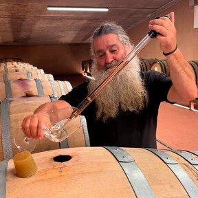 Ni Ribera, ni Rioja: los tres vinos que se sirvieron en la cena arzobispal al papa León XIV eran de León
