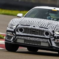 ¡Es oficial! El Ford Mustang Mach 1 va a renacer en 2021 como un pony car aún más radical que el Mustang Bullitt