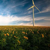 La mitad de la generación eléctrica de España en 2023 vendrá de renovables 