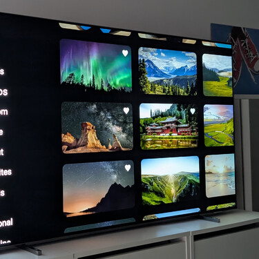 Immich Android Tv Javipas3