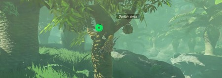 Durain Vivaz Botw