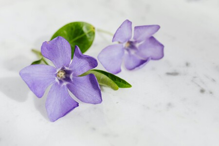 Pexels Karola G 4207492