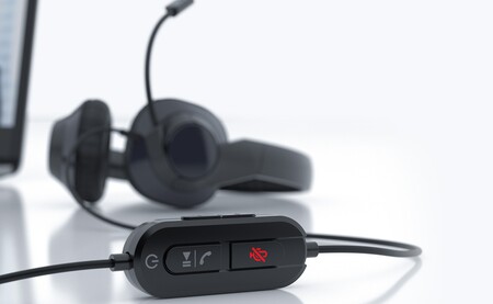 Direct Mic Mute Control