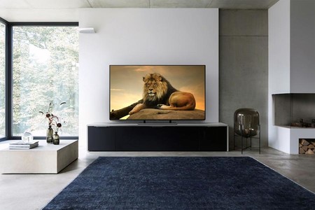 Panasonicez950launch