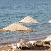 Llevamos toda la vida confiando en la sombrilla de la playa: un estudio demuestra por qué es una trampa 