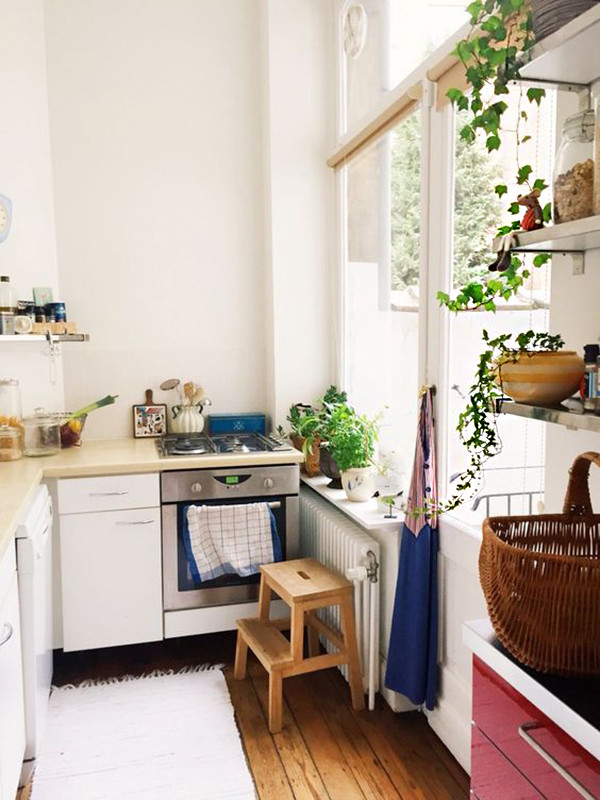 17 ideas prácticas para decorar la cocina con plantas y darle un estilo