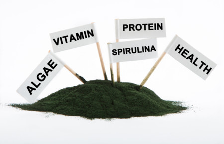 ¿Conoces la espirulina y su aporte proteico?