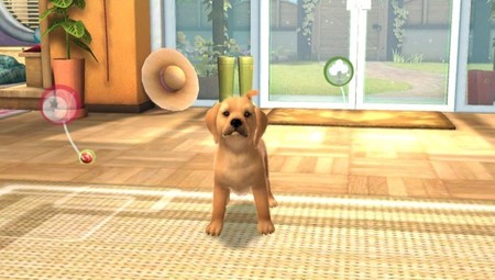 El videojuego Pets disponible para PSVita y también en los dispositivos móviles