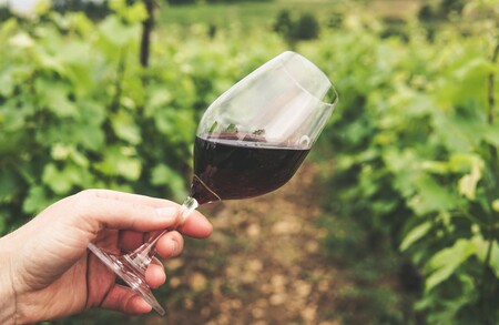 Bodeboca nos trae un cupón de envío gratuito para que podamos elegir entre miles de vinos