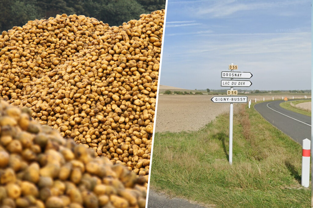 Un agricultor apiló 500 toneladas de patatas en un campo para quien quisiera cogerlas gratis. Ocurrió lo que cabía esperar