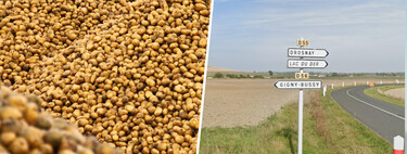 Un agricultor apiló 500 toneladas de patatas en un campo para quien quisiera cogerlas gratis. Ocurrió lo que cabía esperar