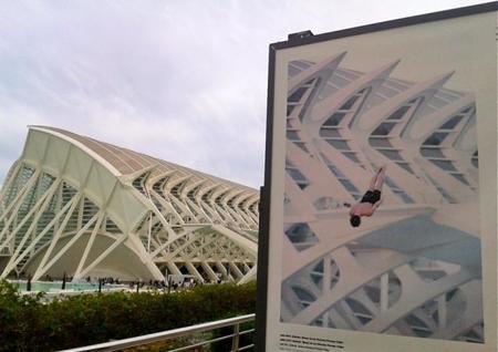Un recorrido fotográfico por el Umbracle en la Ciudad de las Artes y las Ciencias, Valencia