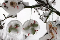 Al rescate del juguete crionizado 