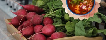 Cómo plantar rábanos en casa: ocupan poco espacio y tendrás los tuyos para el pozole del 15 de septiembre 
