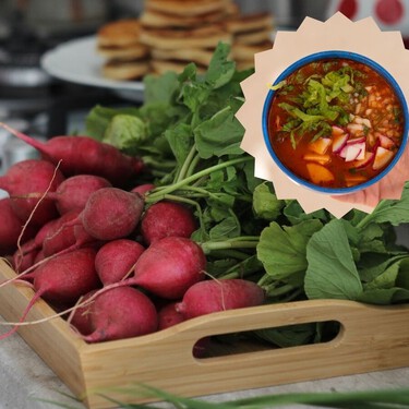 Planta rábanos hoy, tenlos listos para el pozole: así lo puedes hacer en tu casa; sin tanto espacio 