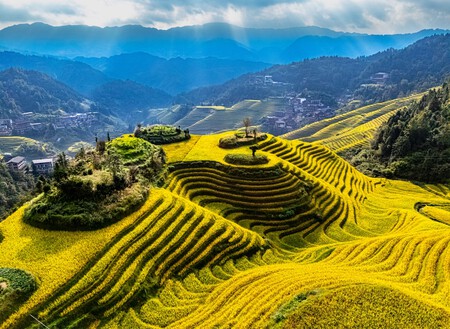 Terraços de Arroz de Longji
