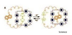 Moléculas lógicas para un ordenador molecular (y II)