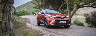 El Test del Alce, la maniobra de esquiva y cómo debemos actuar si se nos cruza un animal en la carretera 