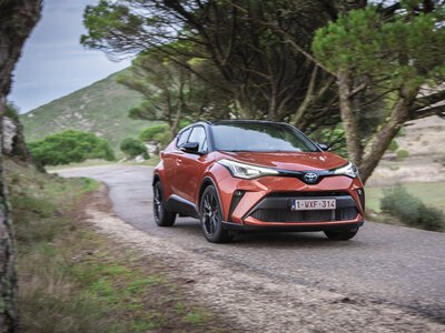 El Test del Alce, la maniobra de esquiva y cómo debemos actuar si se nos cruza un animal en la carretera 