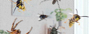 Sin taladros ni obras: la nueva mosquitera por menos de 12 euros para todo tipo de ventanas que nos salva este verano 