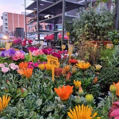 Foto 17 de 20 de la galería galeria-de-imagenes-tomadas-con-el-samsung-galaxy-s21 en Xataka Móvil