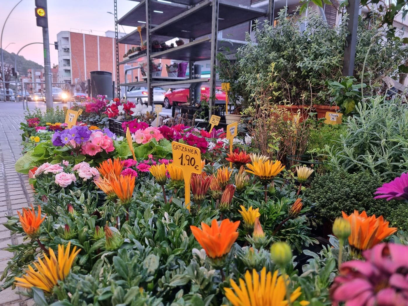 Foto de Galería de imágenes tomadas con el Samsung Galaxy S21 (17/20)