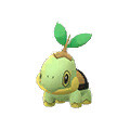 Turtwig