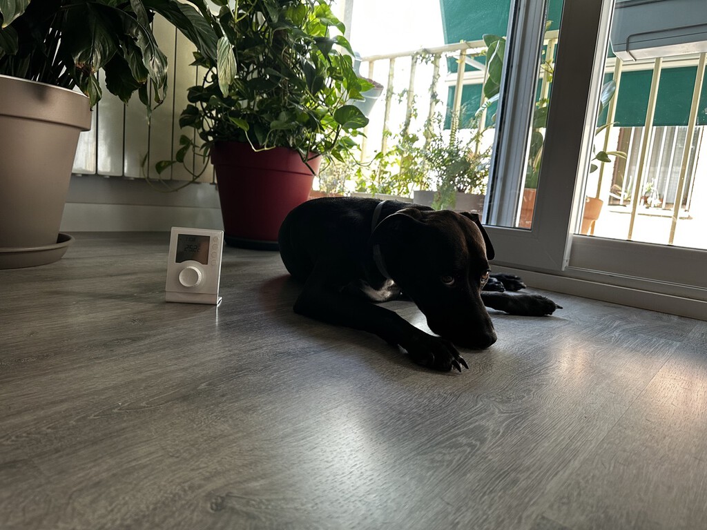 Qué material es mejor para instalar con suelo radiante, según Iberdrola: cerámico o de madera laminado