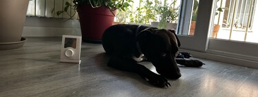 Qué material es mejor para instalar con suelo radiante, según Iberdrola: cerámico o de madera laminado