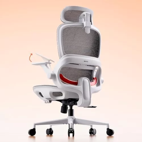 SIHOO Silla de Oficina ergonómica B100