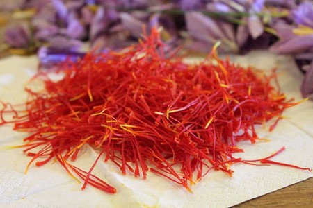 La Tierra Del Oro Amarillo El Azafran De Los Abruzos
