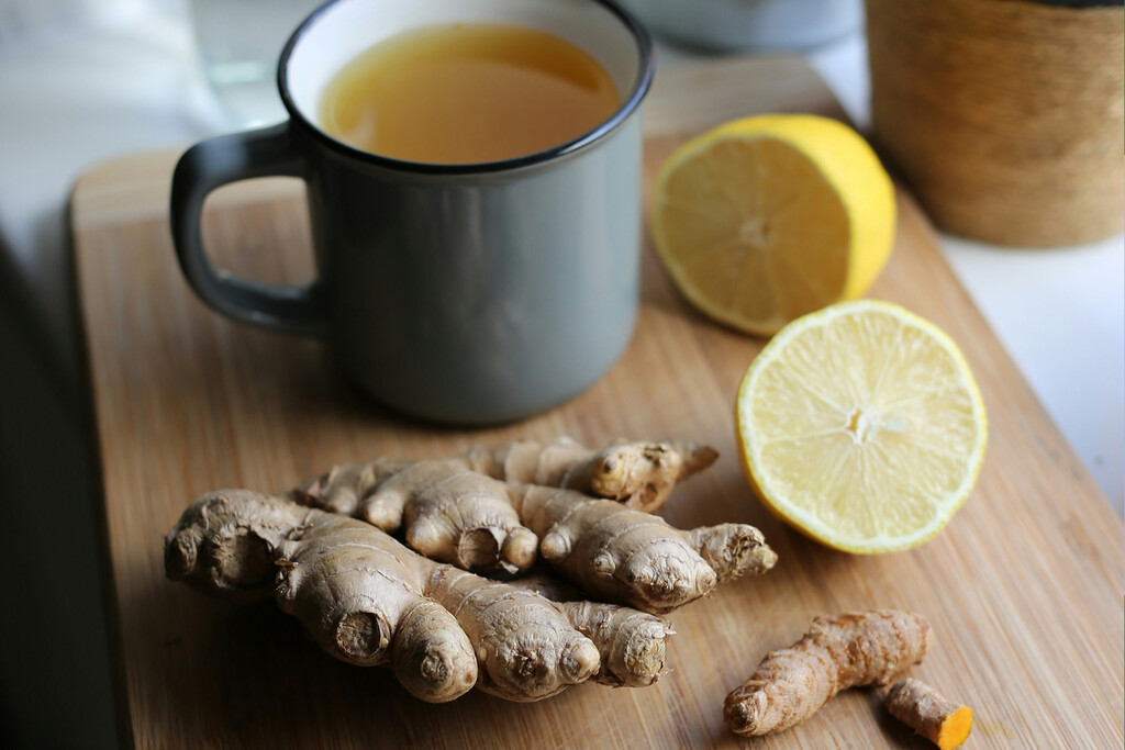 Llevamos 2.500 años usando el jengibre como medicina. La ciencia acaba de darnos la razón