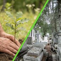 Edomex se queda sin espacio para enterrar a sus muertos y propone convertir áreas verdes en panteones ecológicos 