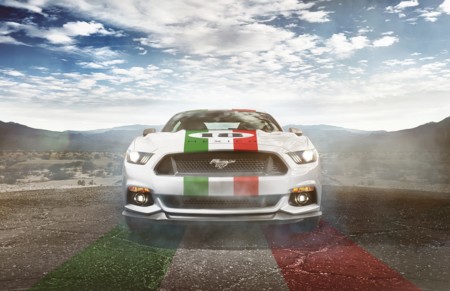 Ford Mustang Freddy Van Beuren 1
