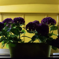 Foto 25 de 37 de la galería canon-eos-m6 en Xataka Foto