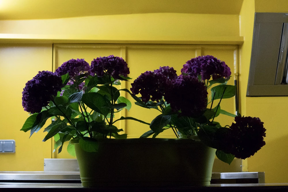 Foto de Canon EOS M6 (25/37)