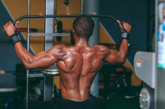 Musculo