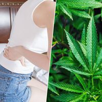 El dolor de espalda es uno de los más incómodos que hay. Unos investigadores quieren solucionarlo con cananbis