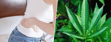 El dolor de espalda es uno de los más incómodos que hay. Unos investigadores quieren solucionarlo con cananbis