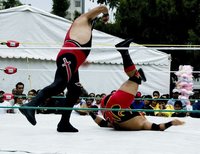 Del club de la lucha al profesional en lucha