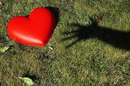 Las 7 sustancias químicas que dan forma al amor