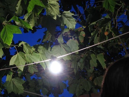 La Comisión Nacional de los Mercados y la Competencia (CNMC) anula la subasta del tarifazo 