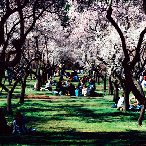 Los 11 mejores sitios para hacer picnic en Madrid: de El Retiro a Madrid Río