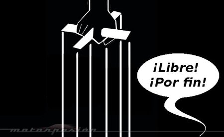 fauna en ruta: conducción mal acompañada