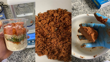 Reprodução/UNICAMP