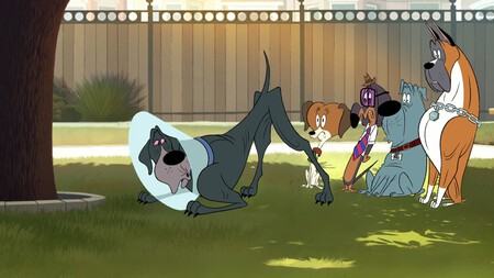 Despelote Fixed Netflix Critica Resena Opinion 2