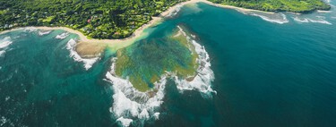ONG oferece moradia grátis em ilha paradisíaca no Havaí. O contraponto: ter que cuidar de porcos 20 horas por semana 