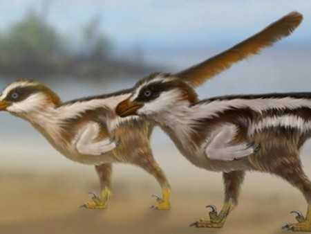 Las huellas más pequeñas de un dinosaurio correspondían a una criatura del tamaño de un gorrión
