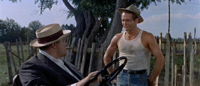 Film Diretto Da Martin Ritt Con Paul Newman