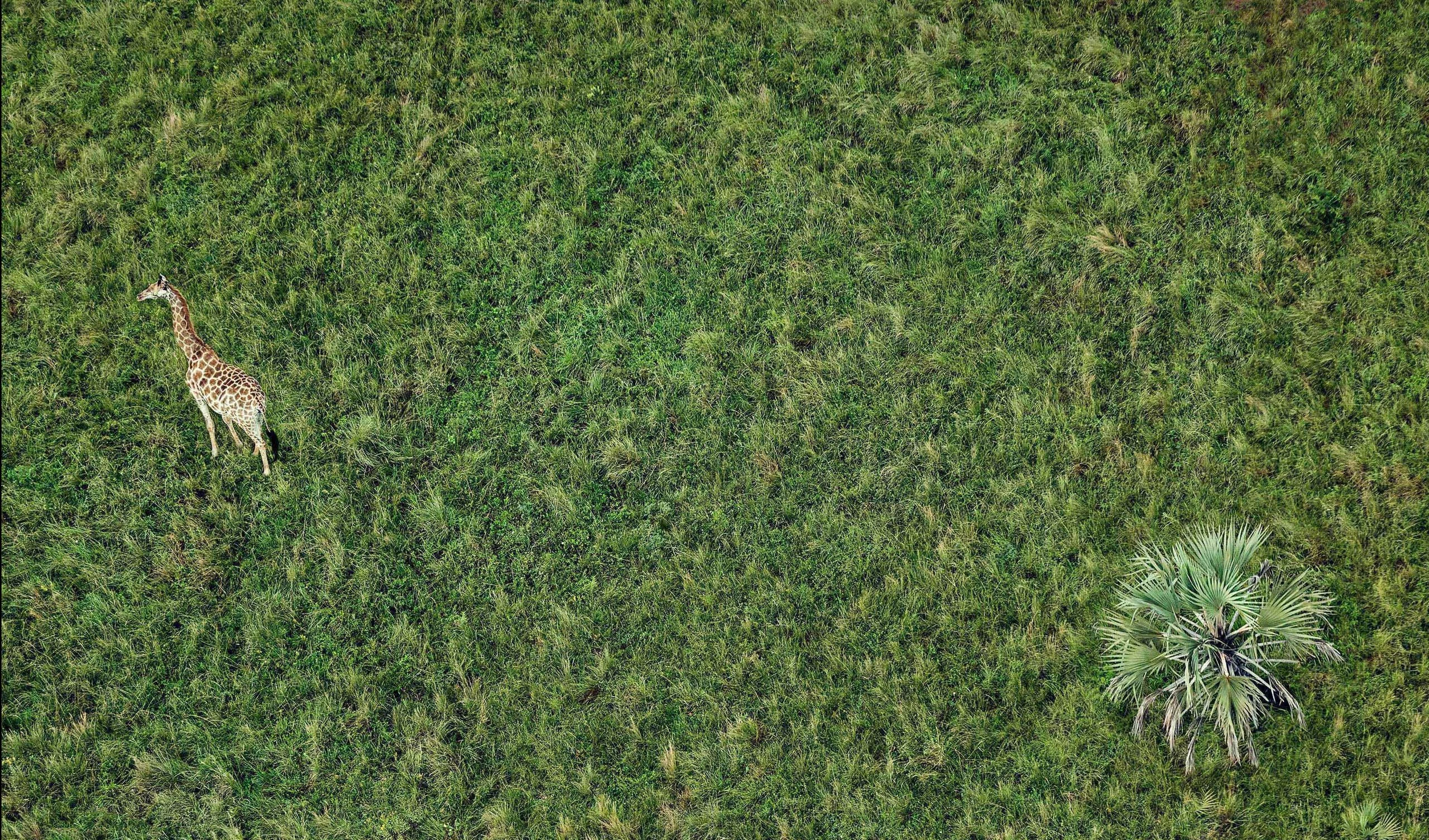 Foto de Fondos de Nexus (2/13)